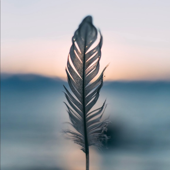 Meet the Posher - Picture 1 of 1